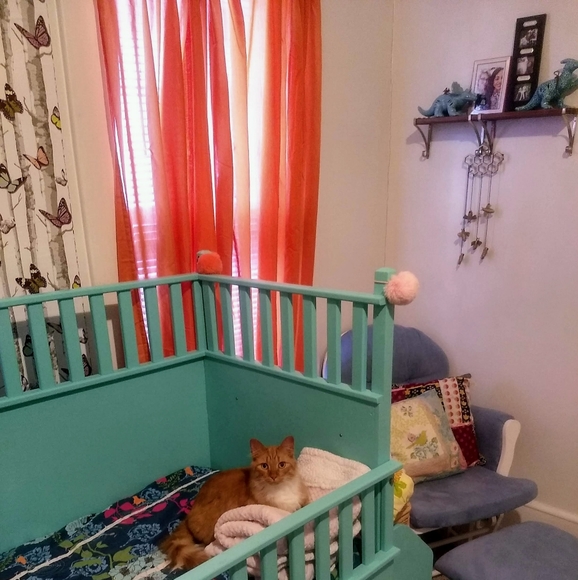 Meet your Posher, Kaitlyn - Picture 14 of 16